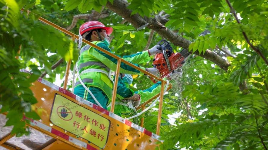 咸丰东升5期绿化工程项目