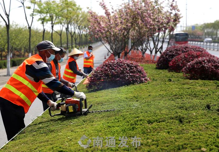 咸宁洞口村改造绿化工程
